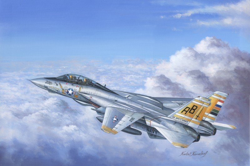 Hobby Boss 80366 F-14A Tomcat 1/48