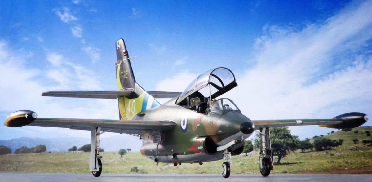 Special Hobby 32087 T-2 Buckeye Anniversary Markings 1/32 – immagine 16