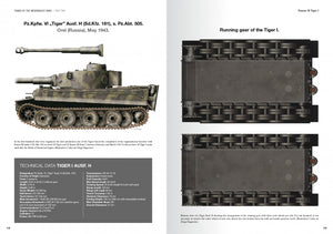 Abteilung 502 ABT760 TANKS OF THE WEHRMACHT WWII · CARLOS DE DIEGO VAQUERIZO – image 2
