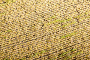Model Scene F403 Stubble field – immagine 2