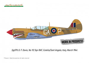 Eduard R0025 P-40N WARHAWK ROYAL CLASS DUAL COMBO 1/48 – Bild 6