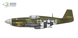 Arma Hobby 70041 P-51B Mustang 1/72 – Bild 8