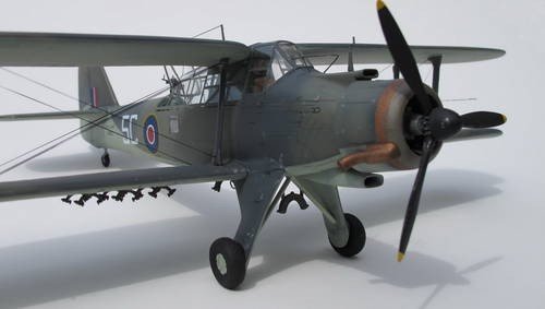 Special Hobby 48045 Fairey Albacore Mk.I 1/48 – zdjęcie 4