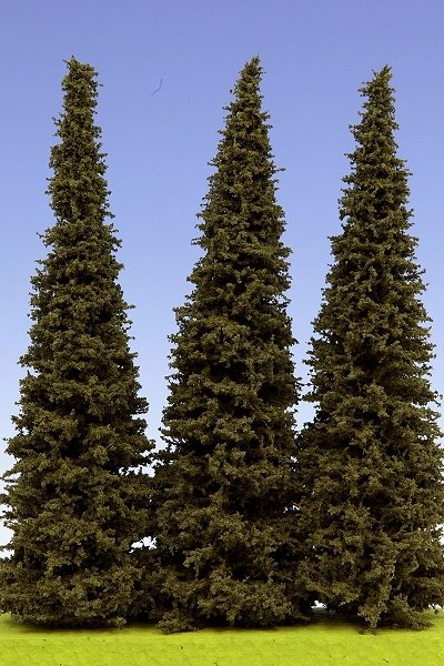 Model Scene SM200 Spruce 200 mm Świerk ( 3pcs )