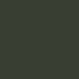 Gunze Sangyo C361 Mr Color Vert foncé