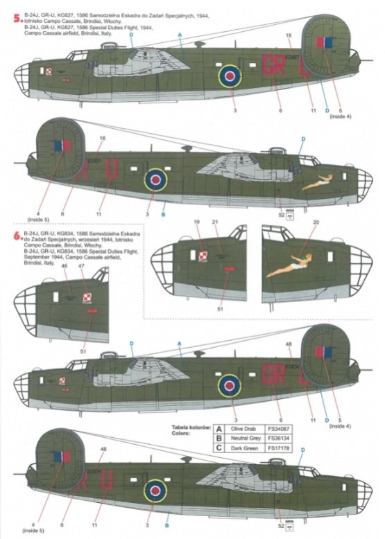 Techmod 72163 B-24 Liberator 1/72  – image 5