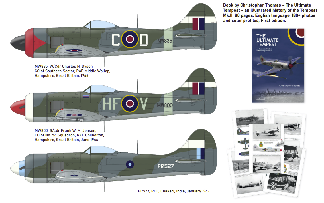 Eduard 11164 The Ultimate Tempest Limited Edition 1/48 – immagine 3
