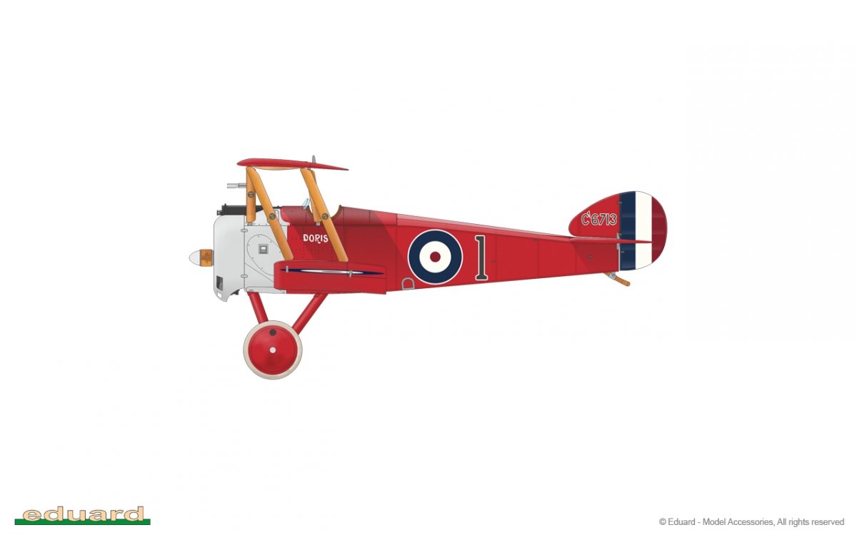 Eduard 11151 Camel &amp;amp; Co. 1/48 – immagine 20
