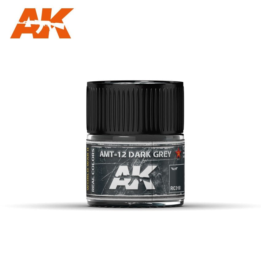 AK Interactive RC318 AMT-12 DARK GRAY 10ML