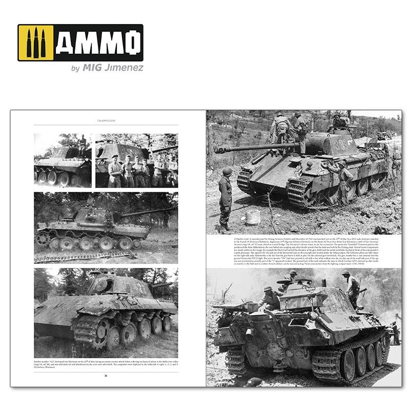Ammo of Mig 6263 ITALIENFELDZUG. German Tanks and Vehicles 1943-1945 Vol. 2 – imagen 3