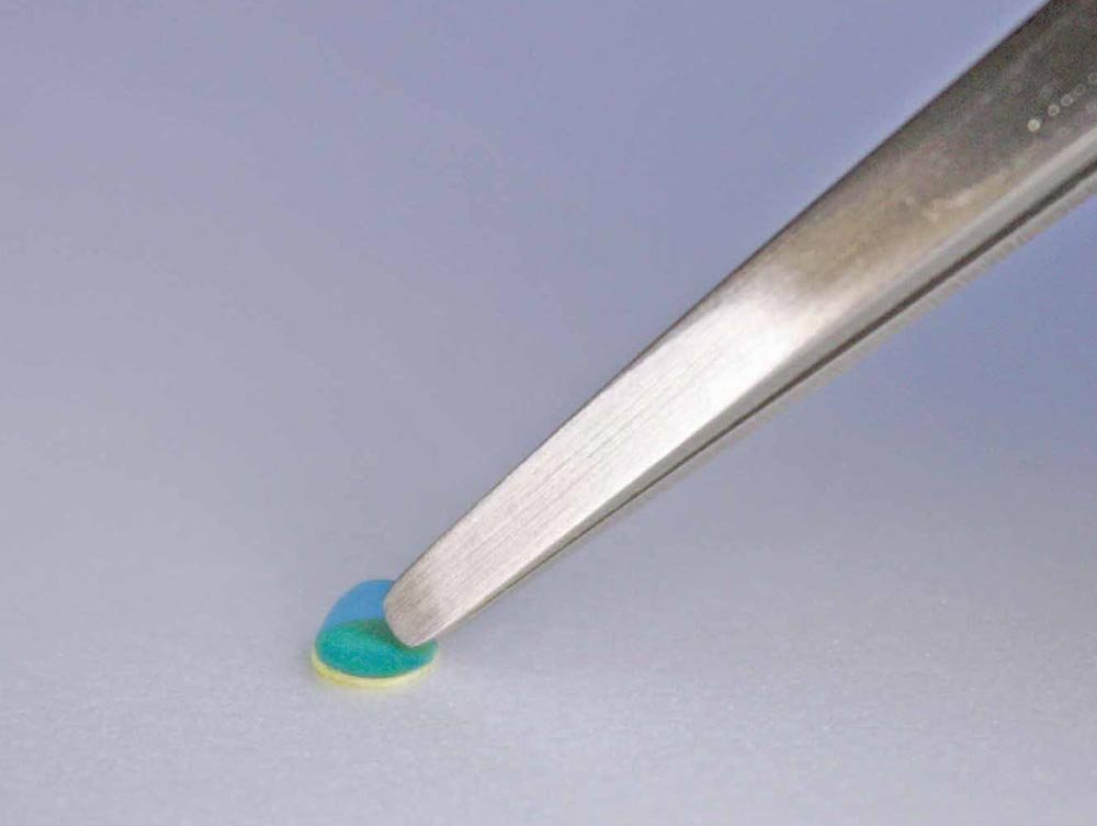 Hasegawa TT101 Finish Tweezers (Trytool Series) – immagine 3