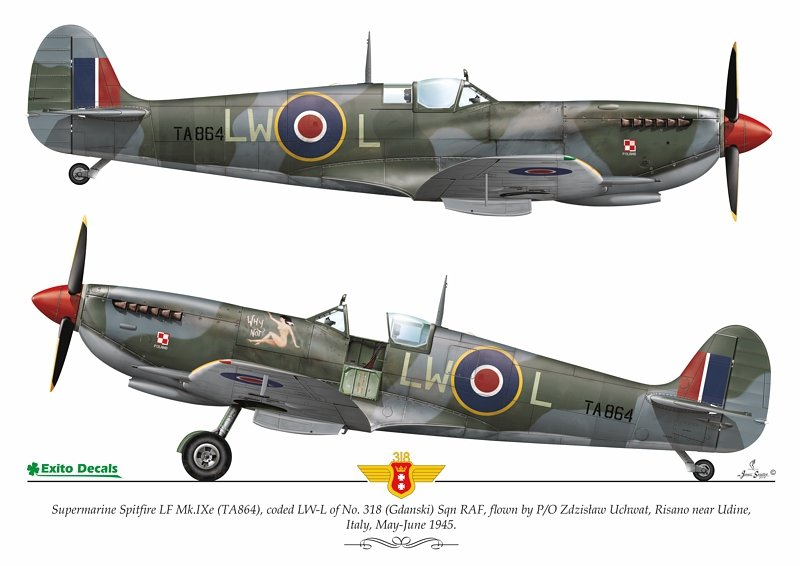 Exito ED72003 DECALS Sexy Spitfires - Supermarine Spitfire LF Mk Vb - VIII - IXe 1/72 – zdjęcie 5