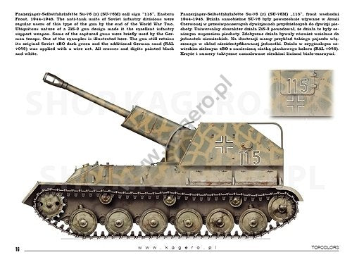 Kagero 15041 Beutepanzer (décalcomanies) PL/EN – image 5