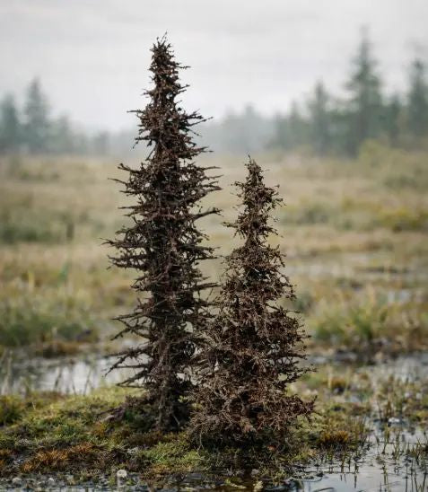 Model Scene SP099 Standing Dead Spruces - 7/10cm – zdjęcie 2