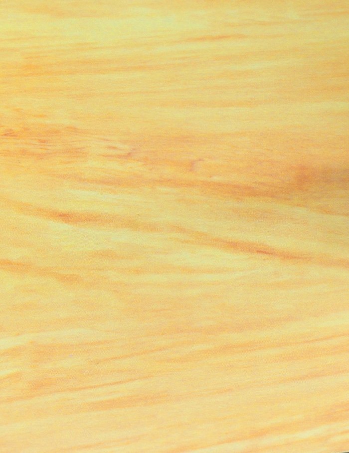 Hasegawa TF944 Woodgrain finish (maple) – immagine 4