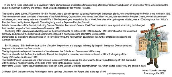 ToRo Model 35F114 Wojska Wielkopolskie 1919 - Gen. Józef Dwobor-Muśnicki / Greater Poland Forces 1919 General Józef Dowbor-Muśnicki Commander-in-chief of Greater Poland Forces 1/35 – Bild 3