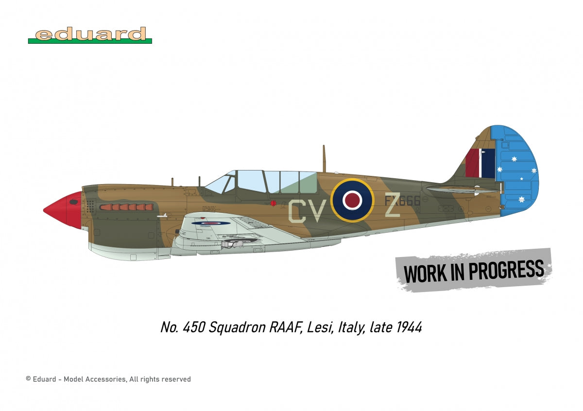 Eduard R0025 P-40N WARHAWK ROYAL CLASS DUAL COMBO 1/48 – Bild 4
