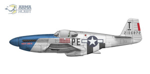 Arma Hobby 70041 P-51B Mustang 1/72 – Bild 10