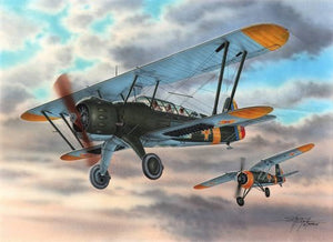 Special Hobby 72293 IAR 38 (1/72)