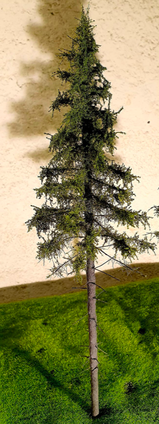 FREON SG1 Mountain Spruce - Larger Highland Spruce 26/28 cm 3 pieces – image 2