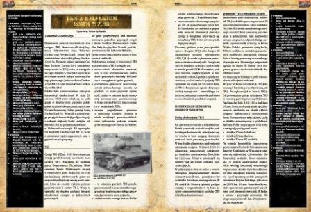First To Fight PL001 - TKS 20mm 1/72 – Bild 4