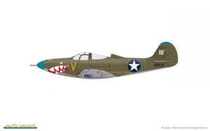 Eduard 8092 P-400 1/48 – Bild 11