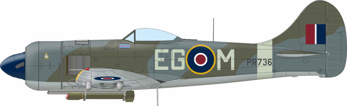 Eduard 11164 The Ultimate Tempest Limited Edition 1/48 – immagine 8