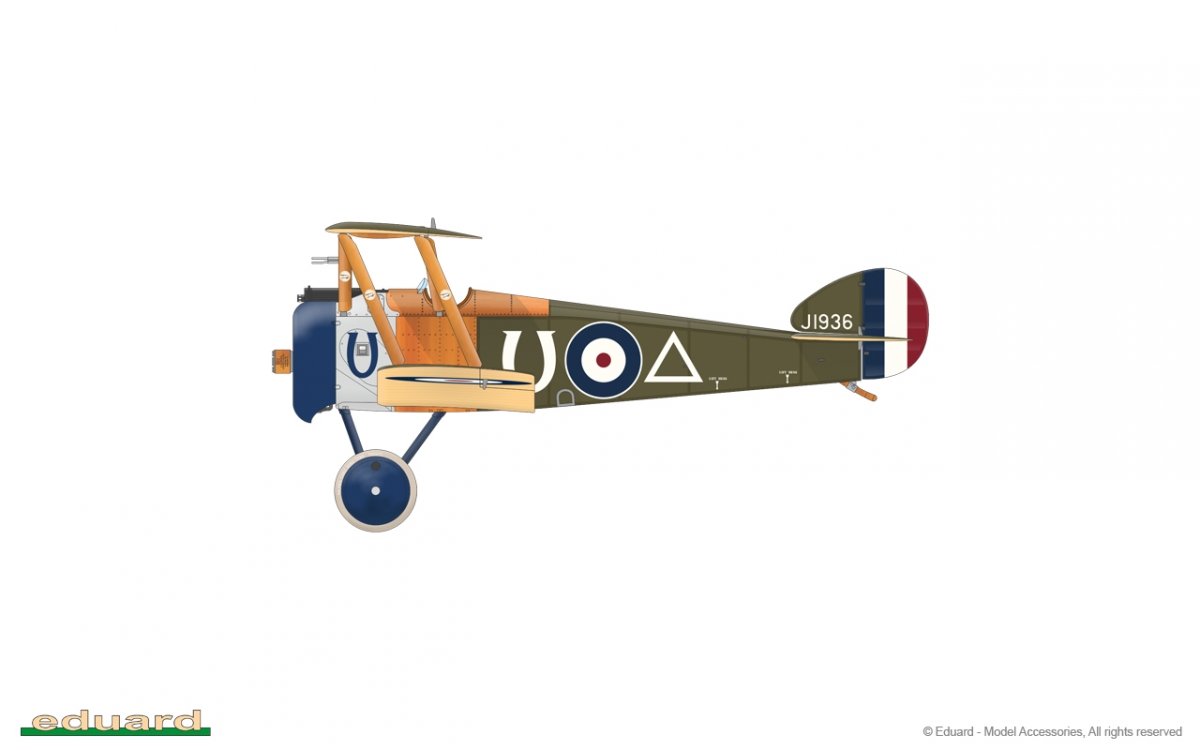 Eduard 11151 Camel &amp;amp; Co. 1/48 – immagine 17