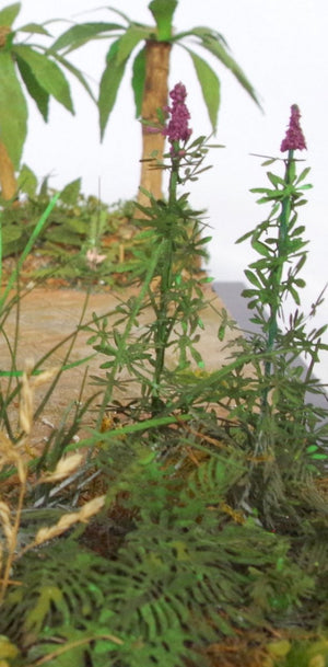 RT-Diorama 35621 Jungle Plant No.8 1/35 – immagine 3
