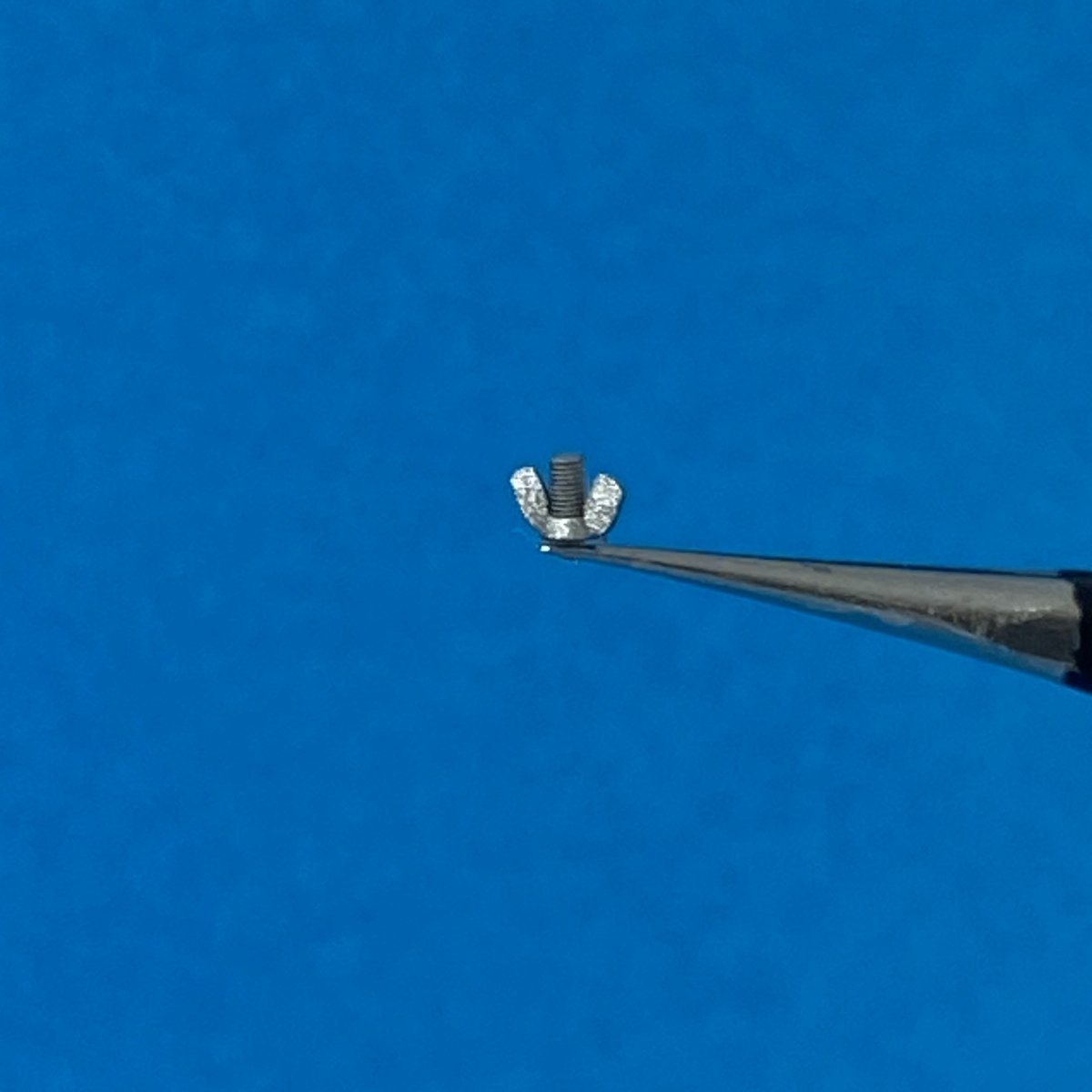 Point of no Return 1623004 Nakrętki motylkowe M12 / M12 wing nuts 1/16 – imagen 6