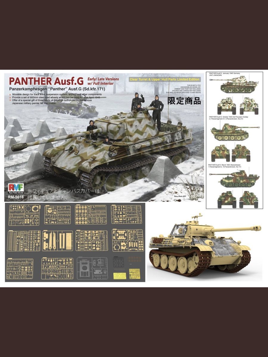 Rye Field Model 5016 Panther Ausf.G Early/Late w/full interior 1/35 – Bild 2