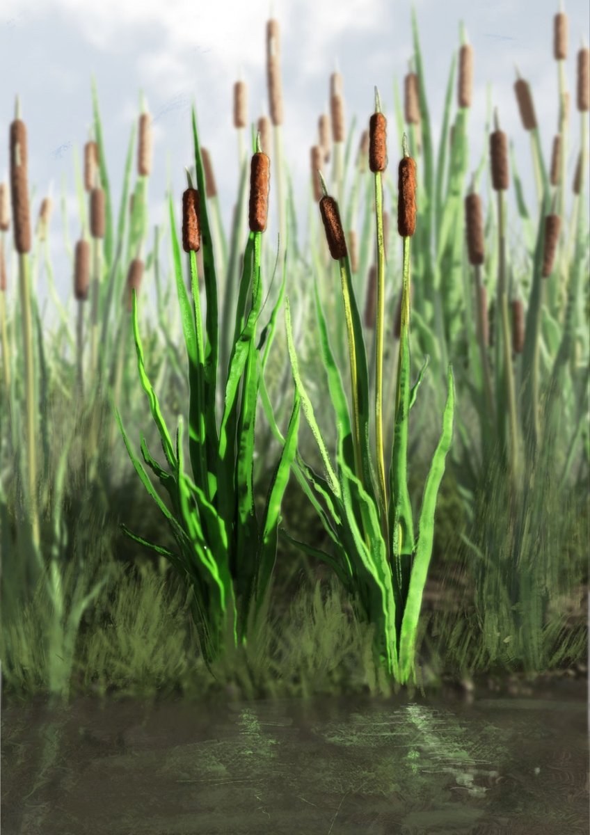 RT-Diorama 35400 Cattail Grass 1/35 – imagen 2