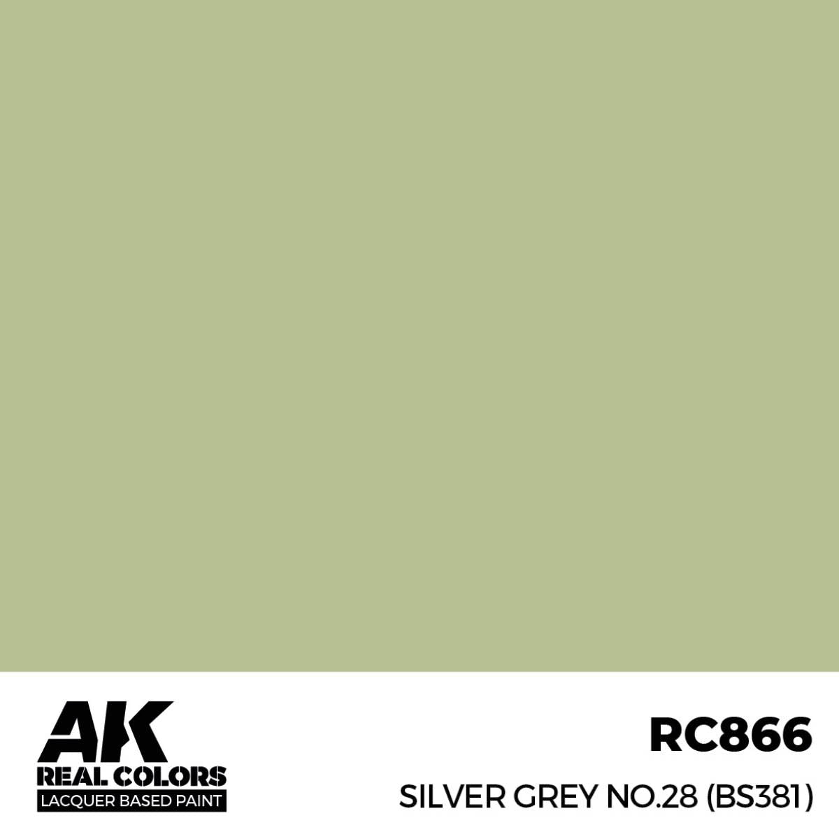 AK Interactive RC866 Gris argent n° 28 (BS381) 17 ml