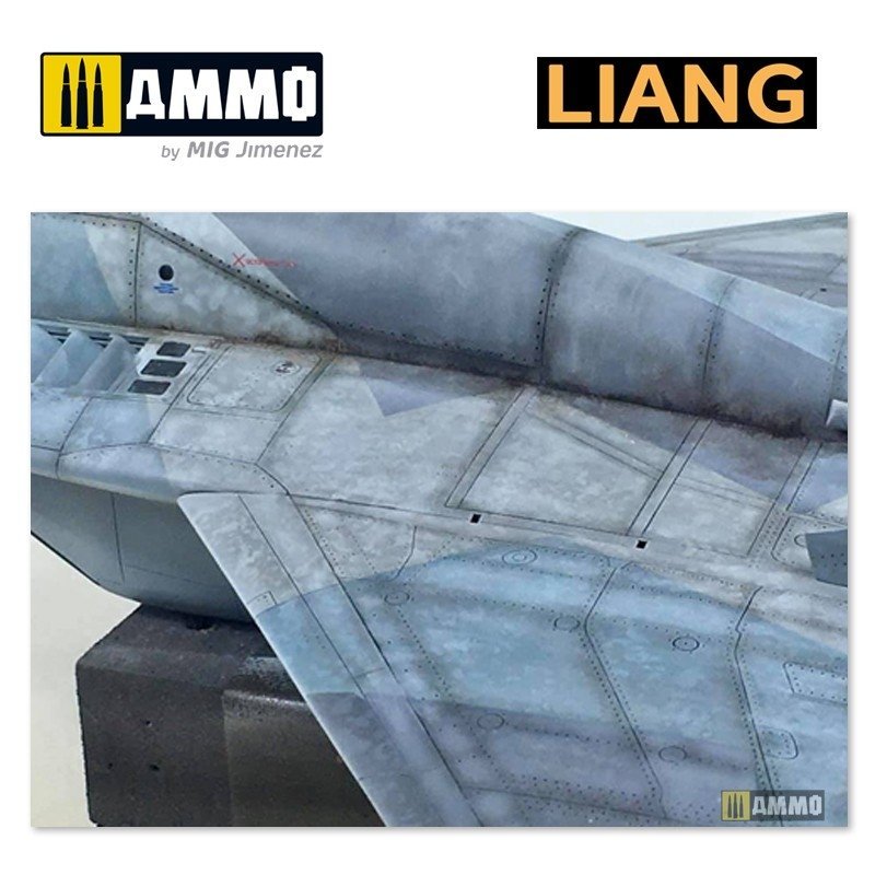 Liang 0006 Salt Weathering Effects Airbrush Stencils (Sparse) – Bild 9