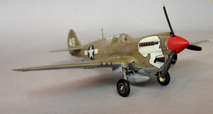 Hasegawa A9 P-40N Warhawk 1/72 – imagen 8
