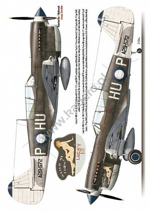 Kagero 7037 Curtiss P-40 F,K,L,M,N models EN/PL – Bild 5