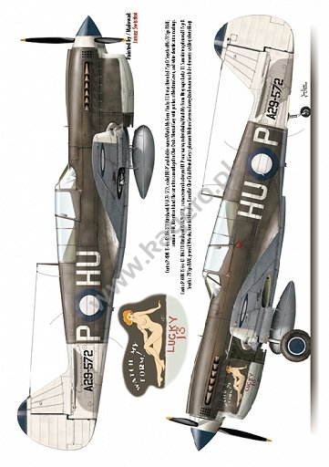 Kagero 7037 Curtiss P-40 F,K,L,M,N models EN/PL – Bild 5