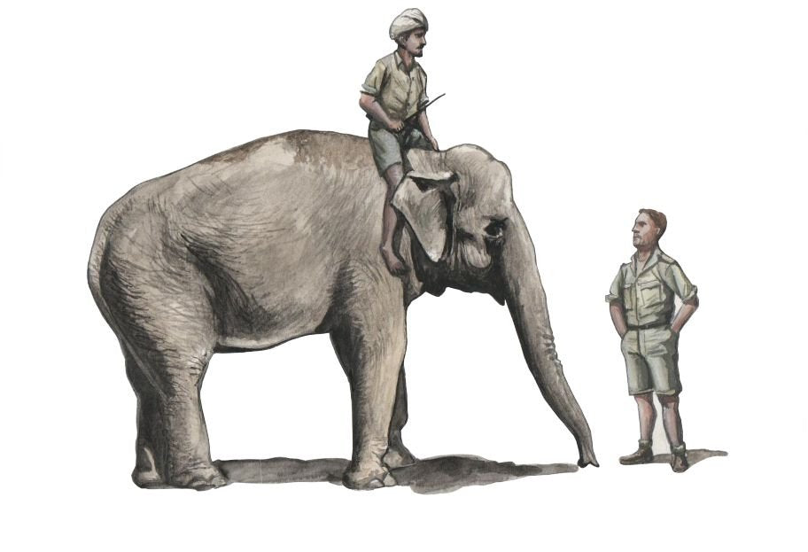 CMK F48345 WWII RAF Mechanic in India + Elephant with Mahout 1/48 – Bild 3