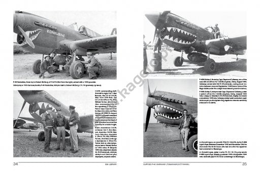 Kagero 19010 Curtiss P-40 Warhawk (Tomahawk/Kittyhawk) EN/PL – image 3