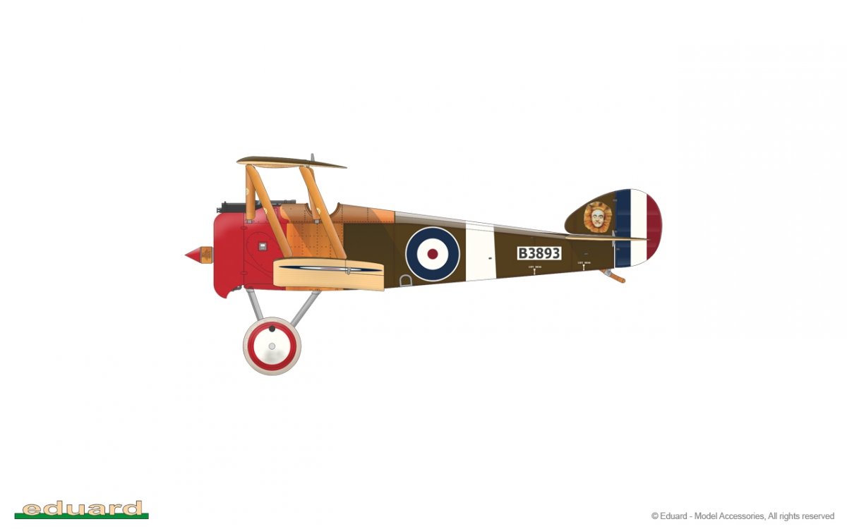 Eduard 11151 Camel &amp;amp; Co. 1/48 – immagine 22