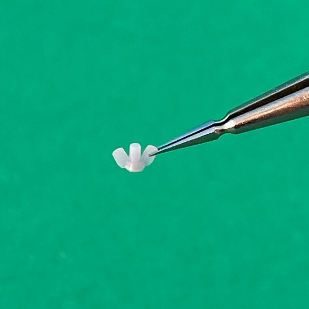 Point of no Return 1623004 Nakrętki motylkowe M12 / M12 wing nuts 1/16 – imagen 7