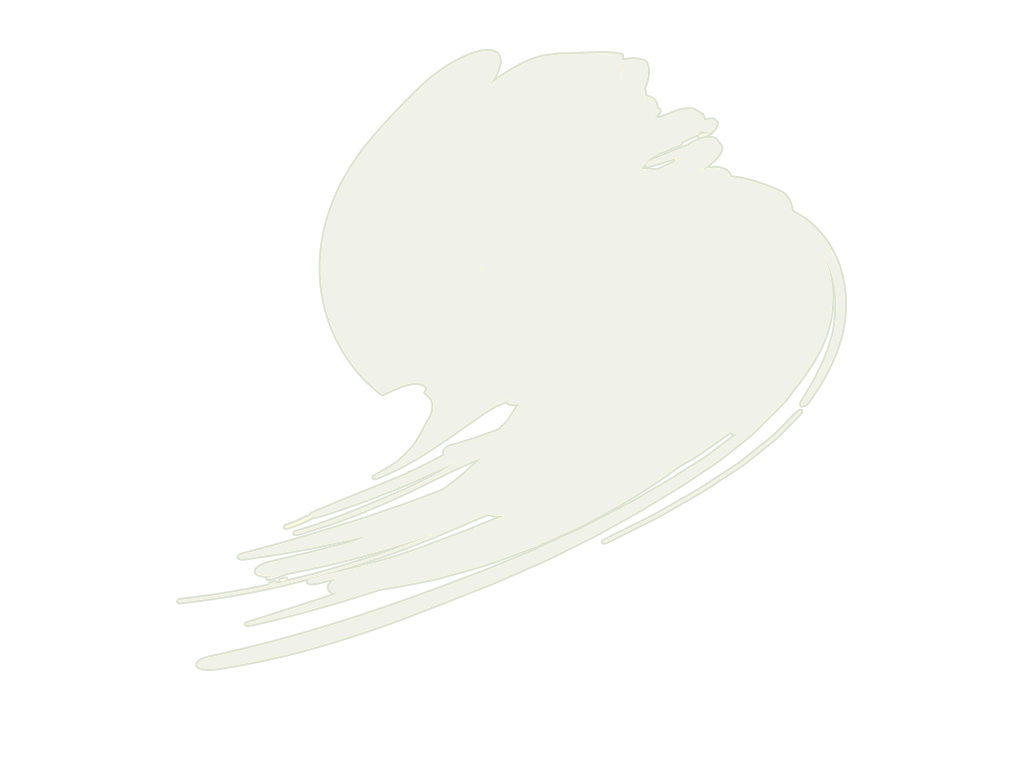 Hataka HTK-B322 RAF Anti-Flash Blanc 17 ml