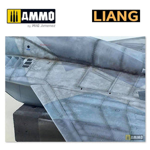 Liang 0007 Pochoirs pour aérographe Effets de vieillissement salin (Intensif) – image 8