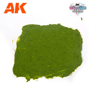 AK Interactive AK1217 PLAGUE GROUND – WARGAME TERRAINS 100ML