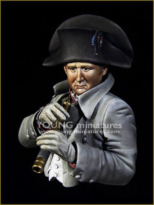 Young Miniatures YH1846 NAPOLÉON à Austerliz 1/10 – image 3