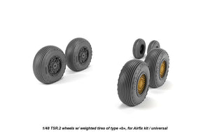 Armory Models AW48413 BAC TSR.2 wheels w/ weighted tires, type “b” (GY) 1/48 – imagen 2
