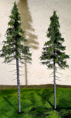 FREON SG1 Mountain Spruce - Larger Highland Spruce 26/28 cm 3 pieces – image 4