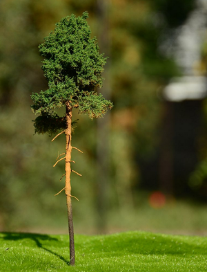 FREON SOM2 Young pine - Young pine 14/16cm