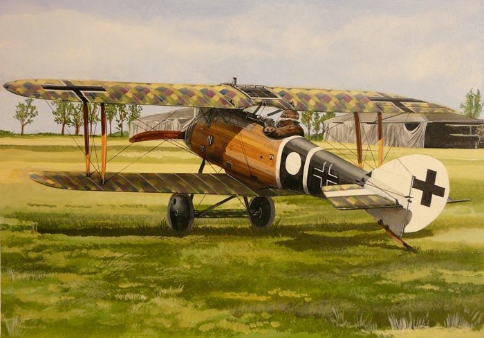 Fly 48005 Roland D VI a/b 1/48 – immagine 2