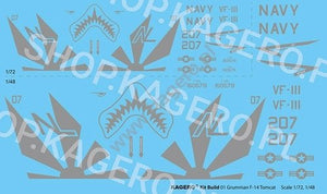 Kagero 41001 Grumman F-14 TOMCAT EN/PL – imagen 2